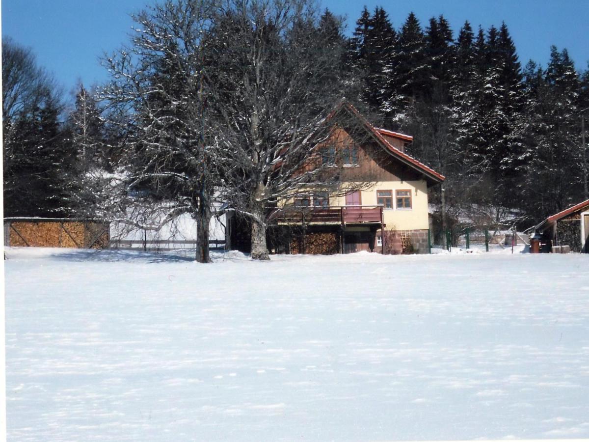 Landhaus Graf Kniebis Exteriér fotografie